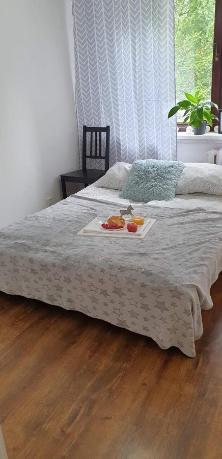 Apartament Corso Nobile Apartament Płock Zewnętrze zdjęcie